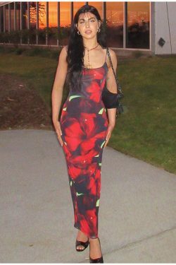 Aofie Maxi Slim Dress - Y2K Summer Grunge Outfit, 90s Retro Style, Pastel Goth Fashion