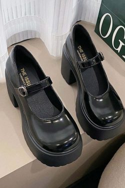 Chunky Heel Mary Janes Platform Shoes Black - Y2K Grunge, 90s Fashion, Retro Goth, Y2K Party Outfits
