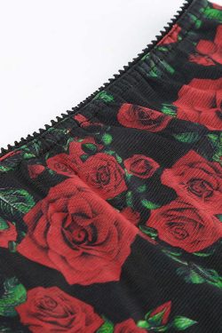 Evalyn Rose Print Mesh Mini Skirt - Y2K Summer, 90s Fashion, Grunge, Retro, Pastel Goth Outfit