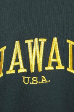 Hawaii Asa Sweatshirt - Y2K Summer Grunge, 90s Retro, Pastel Goth, Y2K Club & Party Outfits