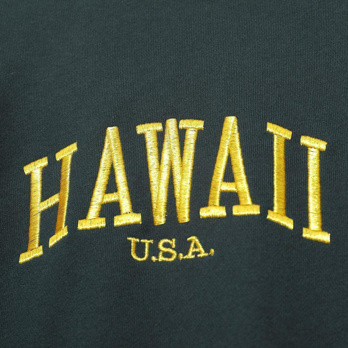 Hawaii Asa Sweatshirt - Y2K Summer Grunge, 90s Retro, Pastel Goth, Y2K Club & Party Outfits