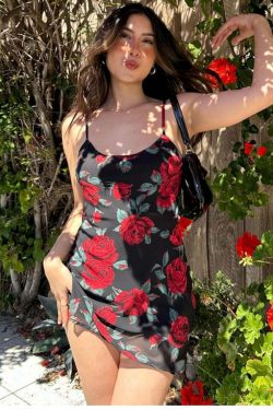 Jenaya Rose Print Mesh Mini Dress - Y2K Summer Outfit, 90s Fashion, Grunge, Retro Style