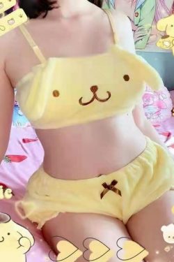 PomPomPurin Y2K Lingerie Set - Retro 90s Grunge, Summer Outfits, and Pastel Goth Fashion