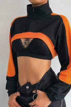 Y2K 90s Grunge Crop Top Sweatshirt - Retro Summer Outfit, Pastel Goth, Hip Hop Fashion