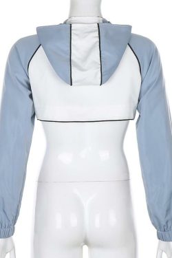 Y2K Full Zip Crop Hoodie - 90s Grunge, Retro, Pastel Goth, Summer & Party Outfits
