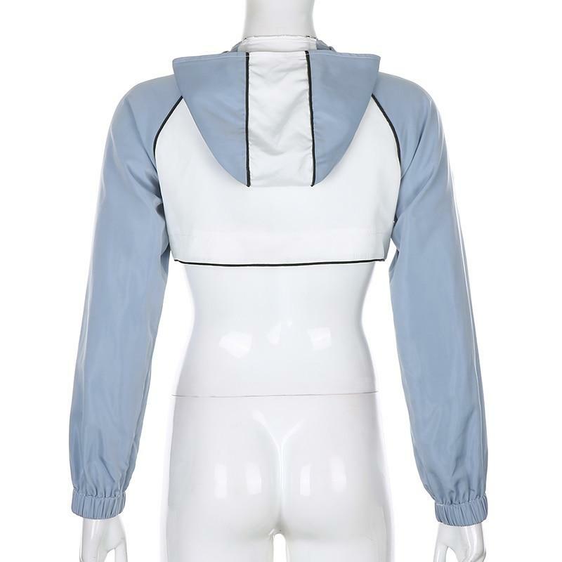 Y2K Full Zip Crop Hoodie - 90s Grunge, Retro, Pastel Goth, Summer & Party Outfits