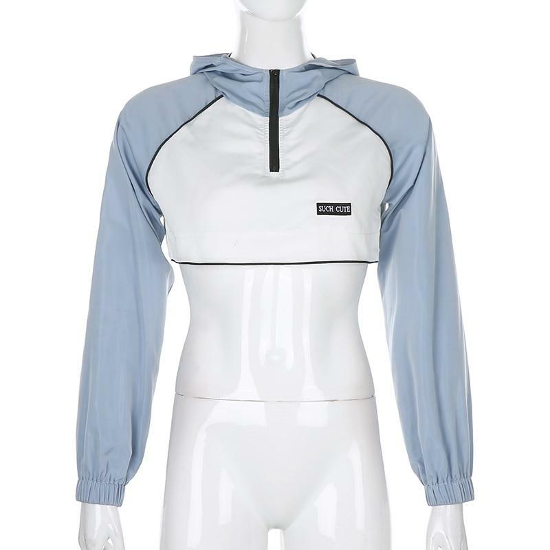 Y2K Full Zip Crop Hoodie - 90s Grunge, Retro, Pastel Goth, Summer & Party Outfits