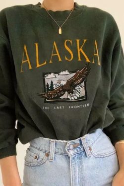 Y2K Grunge Alaska Hawk Sweatshirt - Retro 90s Fashion, Summer Y2K Outfits, Pastel Goth Style