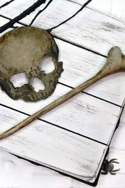 Y2K Grunge Skull Hair Pin - Retro 90s Punk Metal Gothic Accessory for Y2K Outfits & Hairstyles