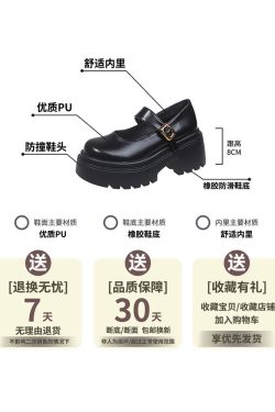 2025 Spring Women's Thick-Soled Chunky-Heeled Mary Jane Shoes - Black Retro Round-Toe Flats, British Style