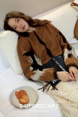 Color Block Jacquard Long Sleeve Knit Sweater Top in Alpaca Wool - Loose Fit Round Neck for Y2K & Korean Style Fashion