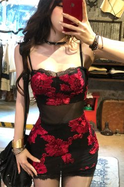 Floral Wild Rose One-Shoulder Embroidered Mesh Dress for Women - Spring Summer Bodycon Mini Skirt, Hot Girl Style