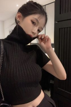 High-Neck Cropped Sweater for Women - Fitted Slimming Thick Knit Top, Autumn Winter Niche Style, Short Sleeve Fashion