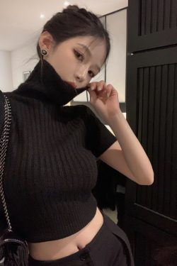 High-Neck Cropped Sweater for Women - Fitted Slimming Thick Knit Top, Autumn Winter Niche Style, Short Sleeve Fashion