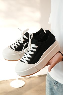 Light Luxury Lace-Up Canvas Shoes for Men - Trendy Lightweight Versatile Rubber Sole Footwear for Spring 2025 Fashion