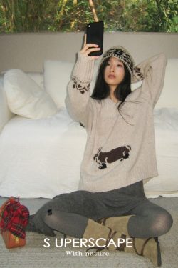 Merino Wool V-Neck Loose Fit Sausage Dog Knit Sweater - Cozy Casual Fall Fashion