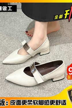 Pointed Toe Chunky Heel Mary Jane Shoes for Women - Elegant Black High Heels, Versatile Spring Autumn Style, 2025 Fashion