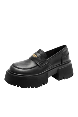 Retro Chunky Heel Loafers for Women, Thick-Soled Slip-On Leather Flats with Gold Coin Detail, College Style, Petite Sizes