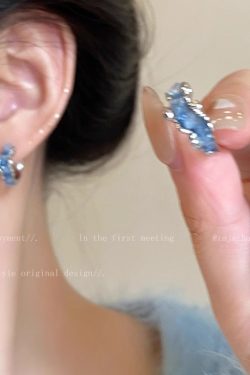 Trendy Blue Hoop Earrings for Women, 2024 Unique Design, High-End Studs, Personalized Ear Accessories for Fashion Lovers