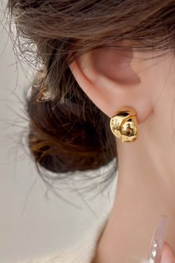 Versatile Niche Design Earrings for Women - Chic Statement Jewelry for Every Occasion