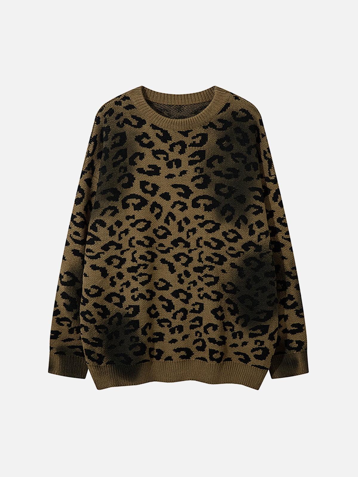 Concert Outfit Tie-Dye Cheetah Jacquard Sweater