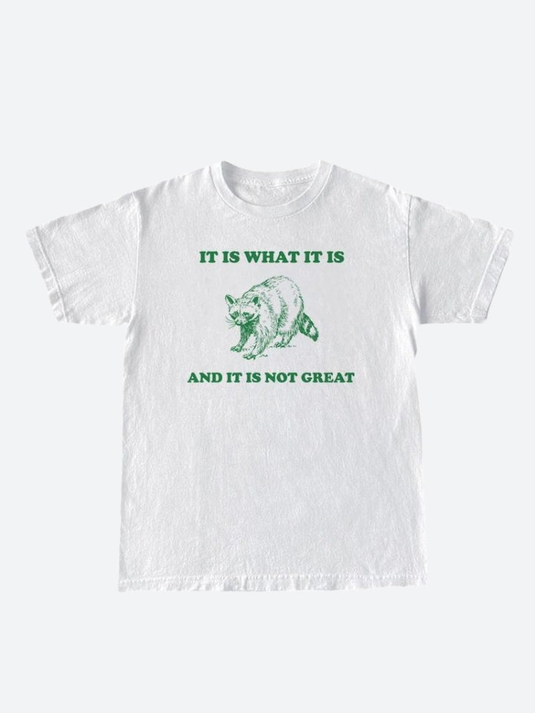 Style Core Aesthetics, New Style Trends - It Is What It Is Tee