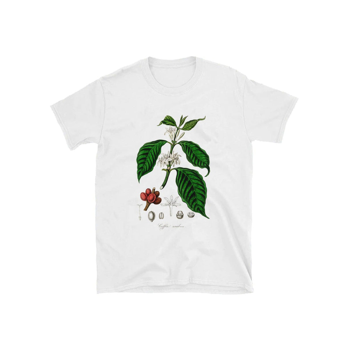 Style Core Aesthetics, New Style Trends - Oversized Botanical Tee