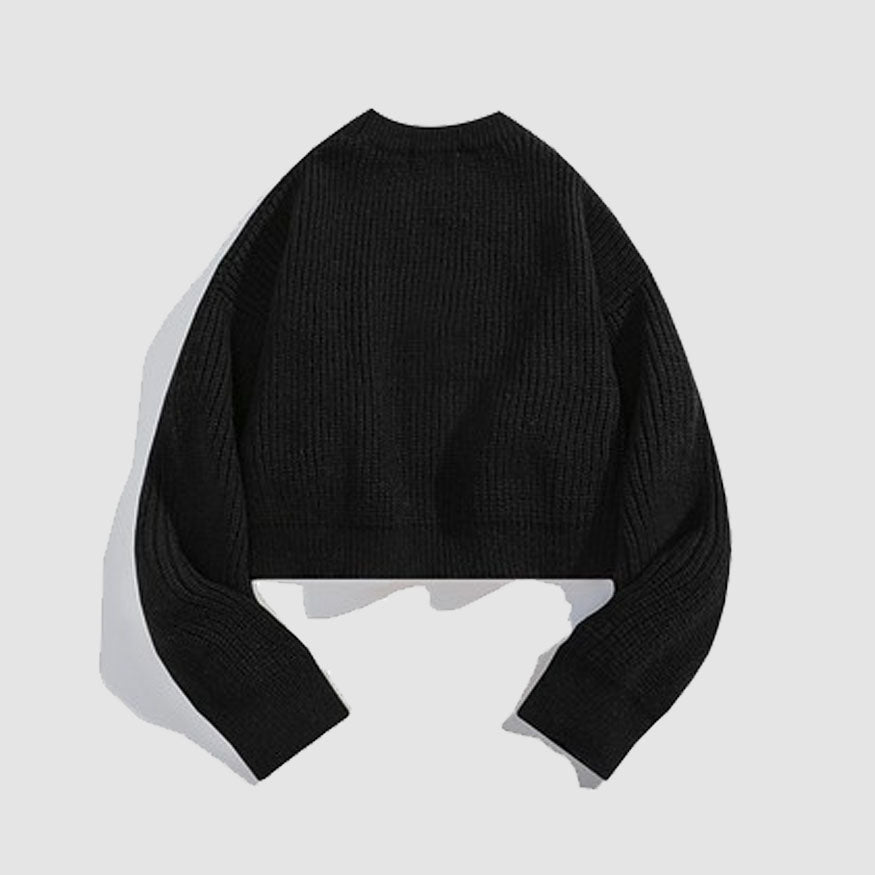 Style Core Aesthetics, New Style Trends Flower & Letter Pattern Cropped Sweater