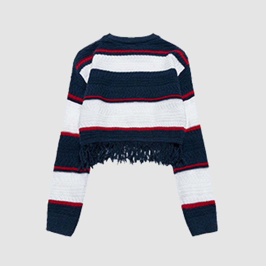 Style Core Aesthetics, New Style Trends Striped Raw Hem Cropped Sweater