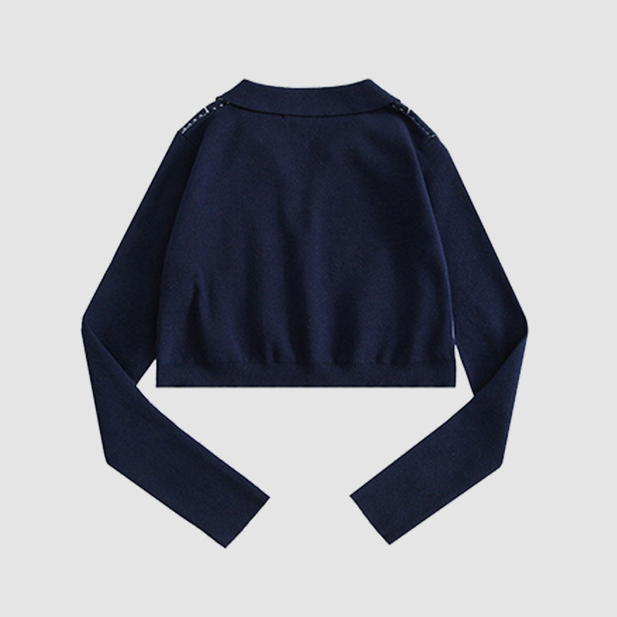 Style Core Aesthetics, New Style Trends Turndown Collar Butterfly Embroidery Cropped Sweater